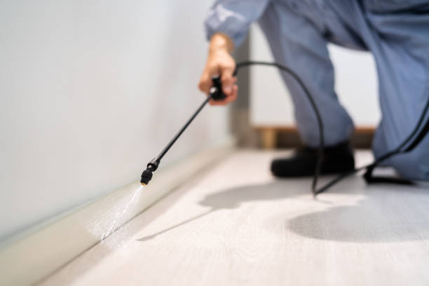 Bed Bug Pre-Treatment Preparation Assessment in Greenfield