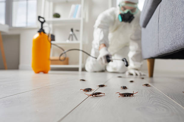 Post-Treatment Bed Bug Interceptor Monitoring in Greenfield